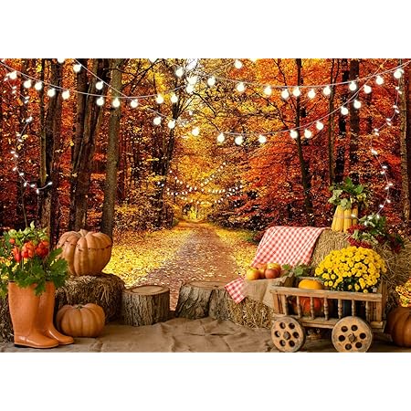 DASHAN 8x6ft Fall Window Forest Photo Backdrop Maple Leaves Pumpkin Photography Backdrop Rustic Thanksgiving Photo Background Autumn Harvest Backdrop Decorations Fall Tapestry Photo Props