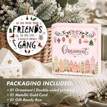 Funny Friendship Christmas Ornament 2026 - Small Gang Ceramic Holiday Hanging Keepsake with Winter Icons - Humor Gift for Close Friend, Coworker, Sister, Brother, BFF, Friend Group