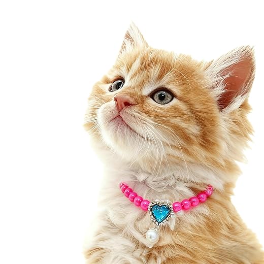 13. PT743 Pink Pet Charm with Fresh Multi-Flower Patterns & Bow for Playful Small Pets Like Yorkies & Munchkin Kittens