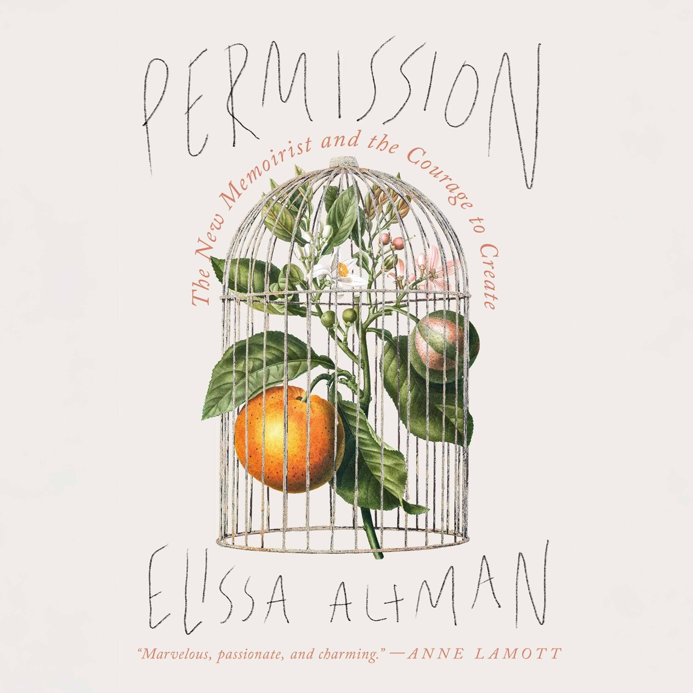 Cover art for Permission