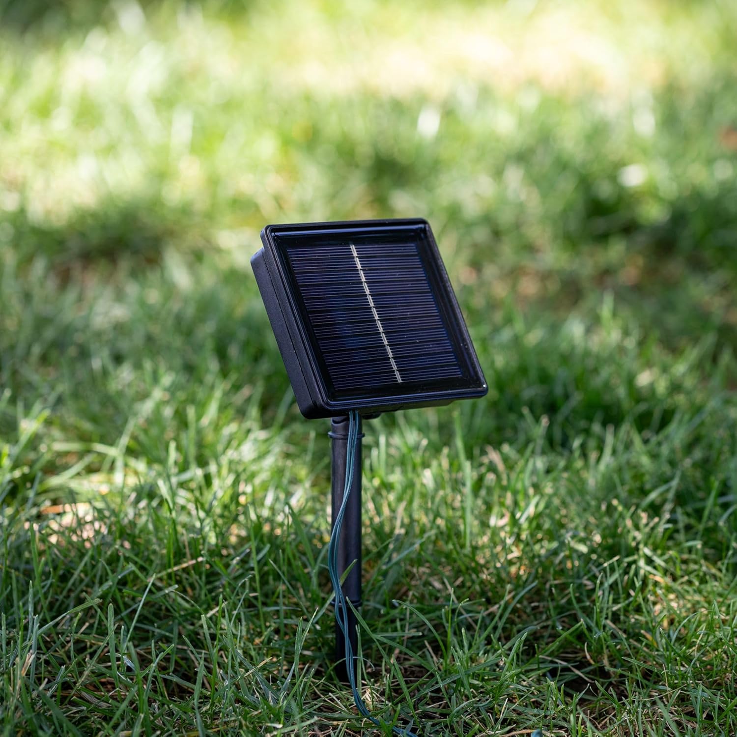 Novelty Lights 50 Light Solar Powered LED Outdoor Mini Light String, 12.5 Feet on Green Wire, Red 5mm Bulbs, Automatic Dusk to Dawn Operation