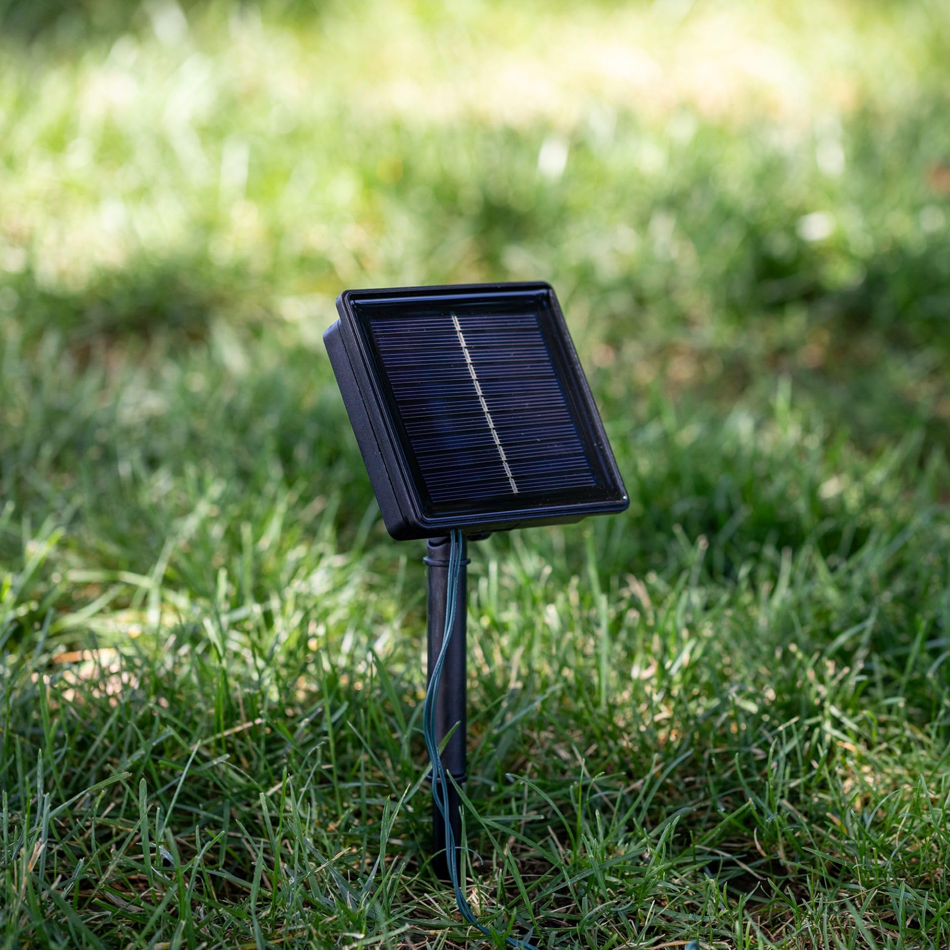 Novelty Lights 50 świateł zasilanych energią słoneczną LED zewnętrzny mini łańcuch świetlny, 30 m na zielonym drucie, niebieskie żarówki 5 mm, automatyczna obsługa od zmierzchu do świtu