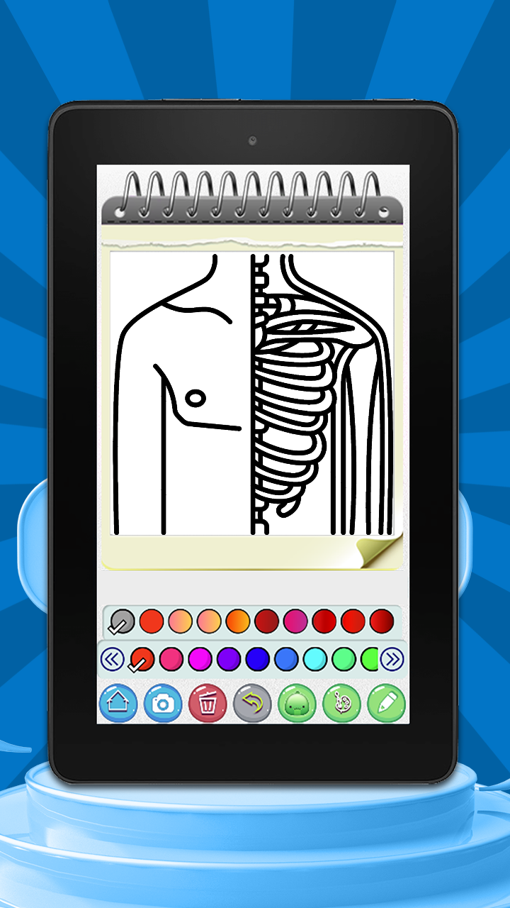 Anatomy Coloring Page: a Coloring Game For kids and Adult - App on