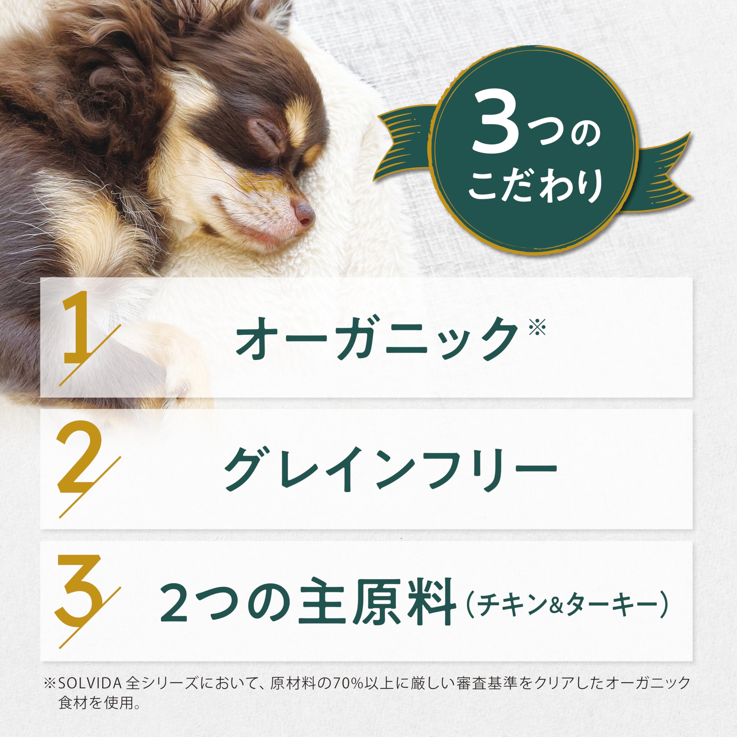 Amazon.co.jp: ソルビダ(SOLVIDA) グレインフリー ドッグフード 室内