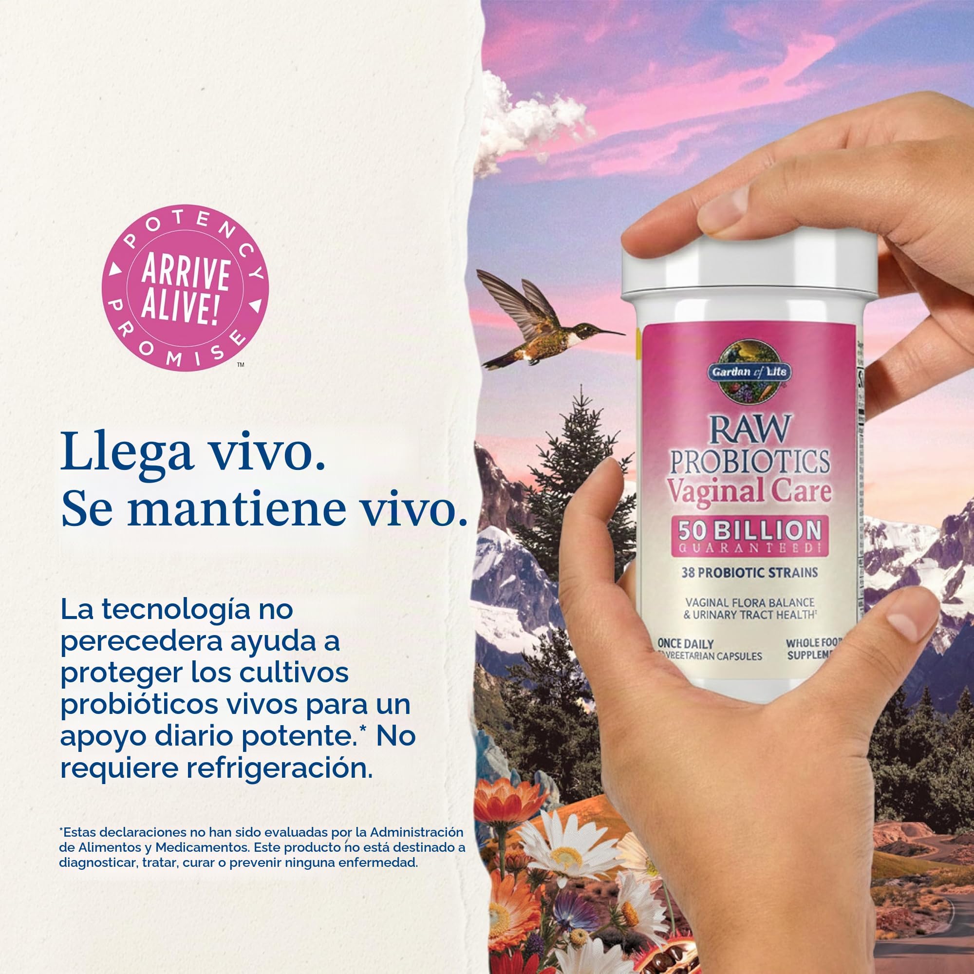 Garden of Life Los Probióticos Cuidado Prima Dentro De La Vagina (No Perecedero) - 30 Vcaps 80 g