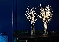 Vista 5 de LITBLOOM Lighted White Birch Twig Branches 30IN 150 LED Plug in with Timer and Dimmer, Artificial Tree Branch with Lights for Indoor Outdoor Home
