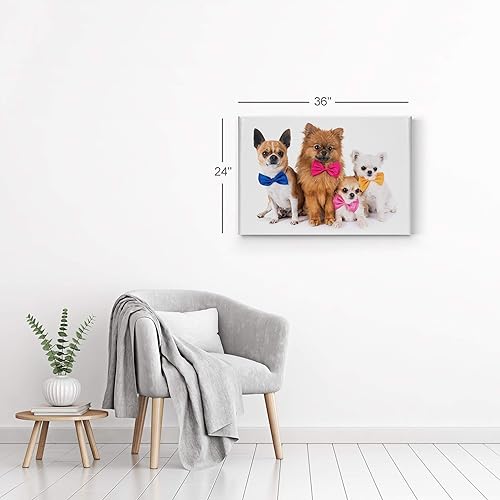 Vista 20 de Smile Art Design Border Collie Bulldog Rottweiler Cachorro Persa Gatito Animal Lienzo Impresión Arte de Pared Pet Cat Dog Lover Sala Dormitorio