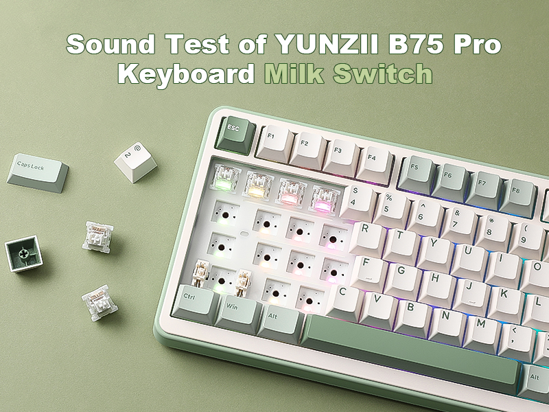 Amazon.com: YUNZII B75 PRO Wireless Mechanical Keyboard,75% Layout