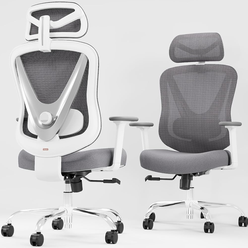 HOLLUDLE Ergonomic Mesh Office Chair - 3D Adjustable Lumbar Support & 3D Armrests, V-Shaped Back, Adjustable Desk Chair for Office & Home, White