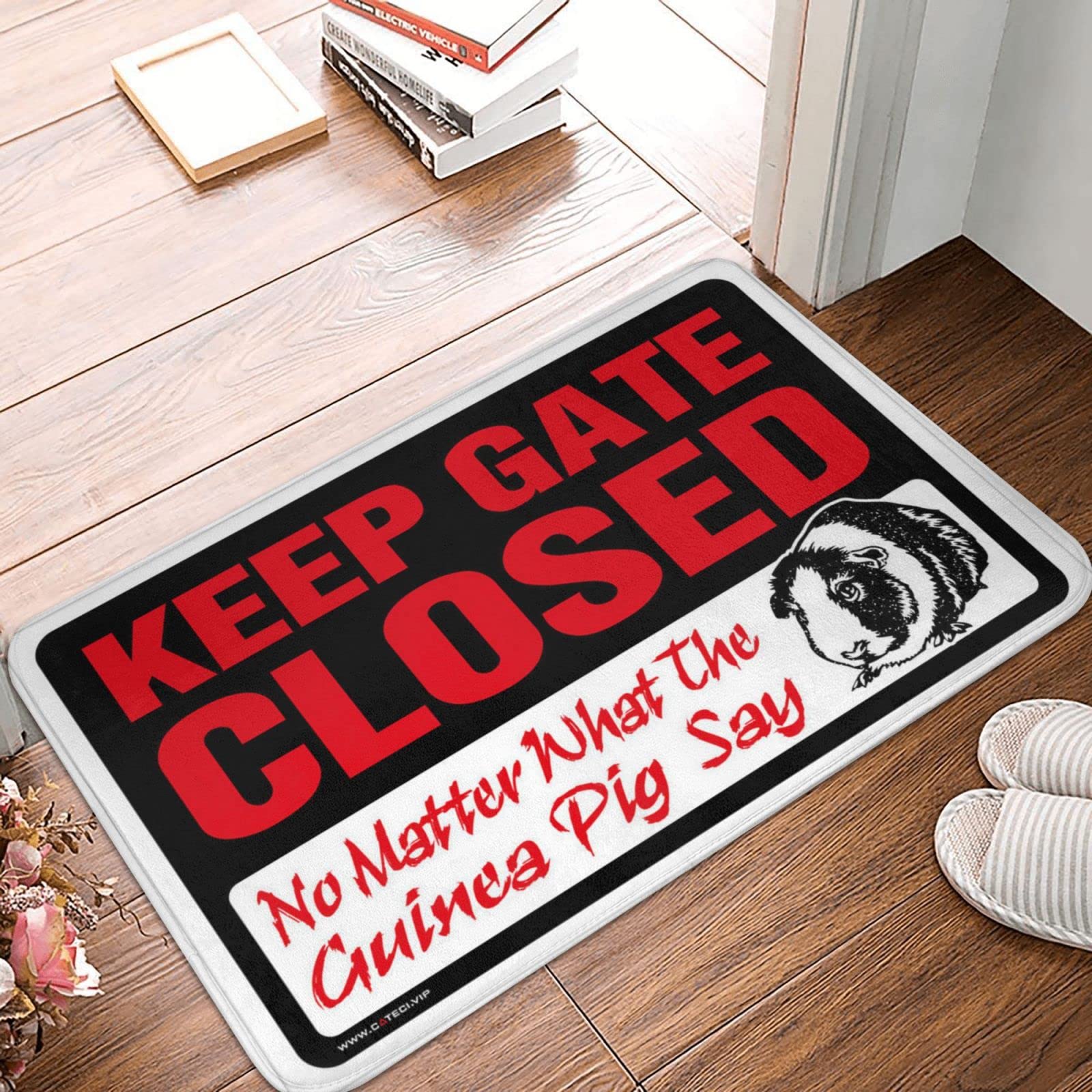 Tapis de porte intérieure grand format paillasson humour imprimé 65 x 90 cm