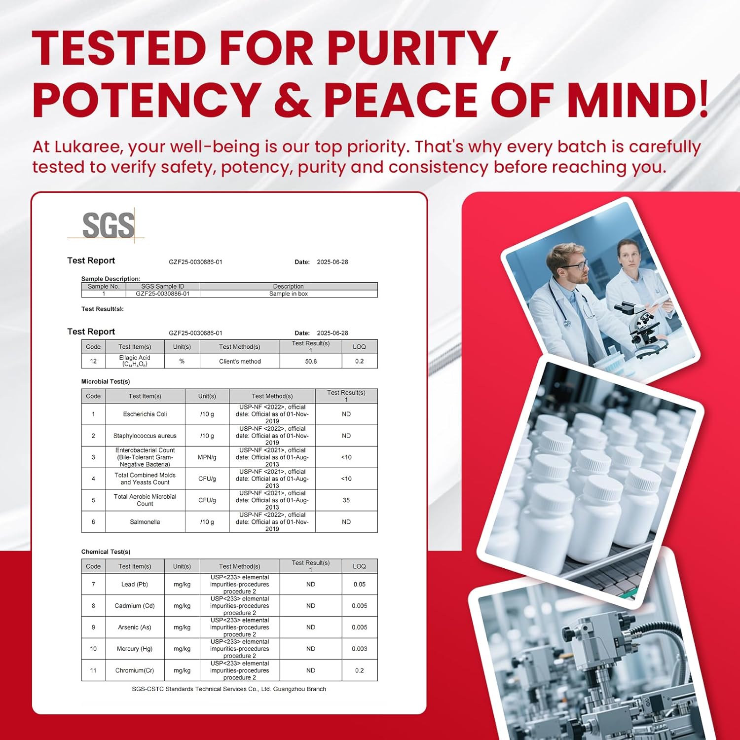 Triple-Strength Urolithin A+ Complex for Cellular Health, Function & Well-Being | Concentrated Pre-Fermented Urolithin A+ Plus Wormwood, Psyllium Husk & DGL for Gut Support–Plant Based, GMP, 120 Count - Image 8