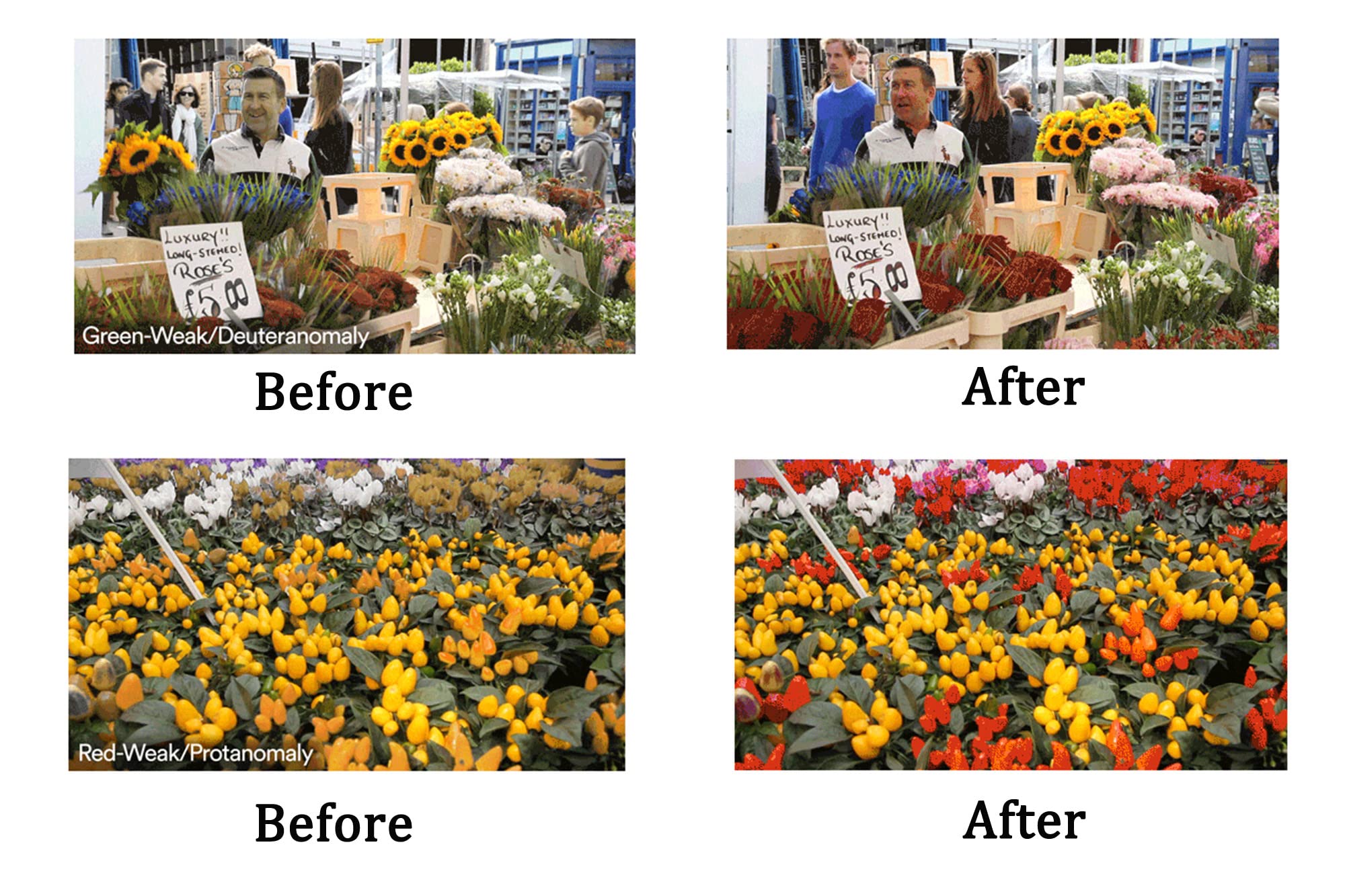 SHINU Colour Blindness Sunglasses for Men Red-green Color Blind Glasses Partial Tritanopia Eyglasses Color Blind-SH051CB(C1)