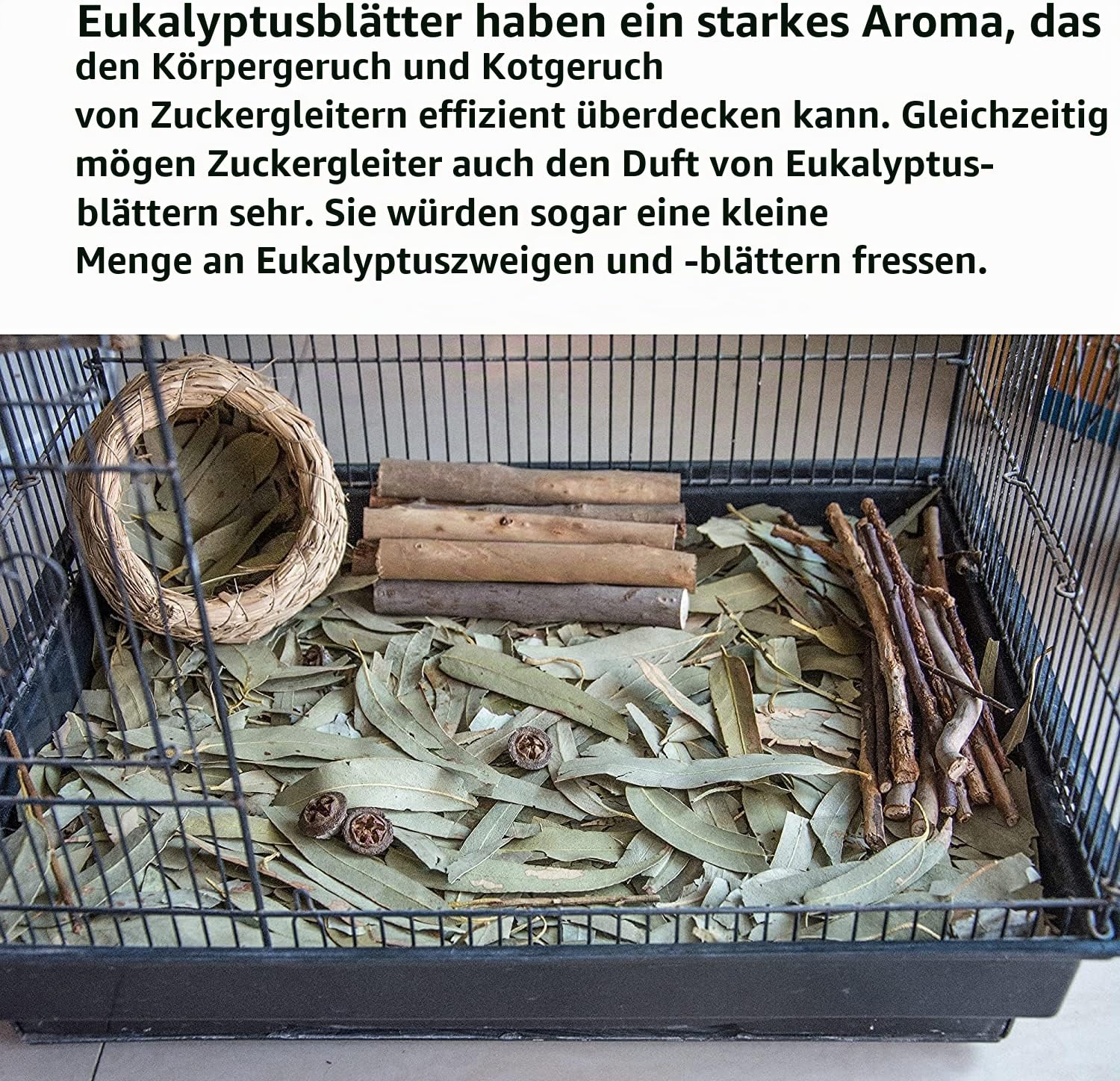 NEOUZA Sugar Glider Kleintiereinstreu, Kau-Leckereien, Backenzahnspielzeug, 200 g natürliche getrocknete Eukalyptusblätter und Zweige (200 g Eukalyptusblätter)