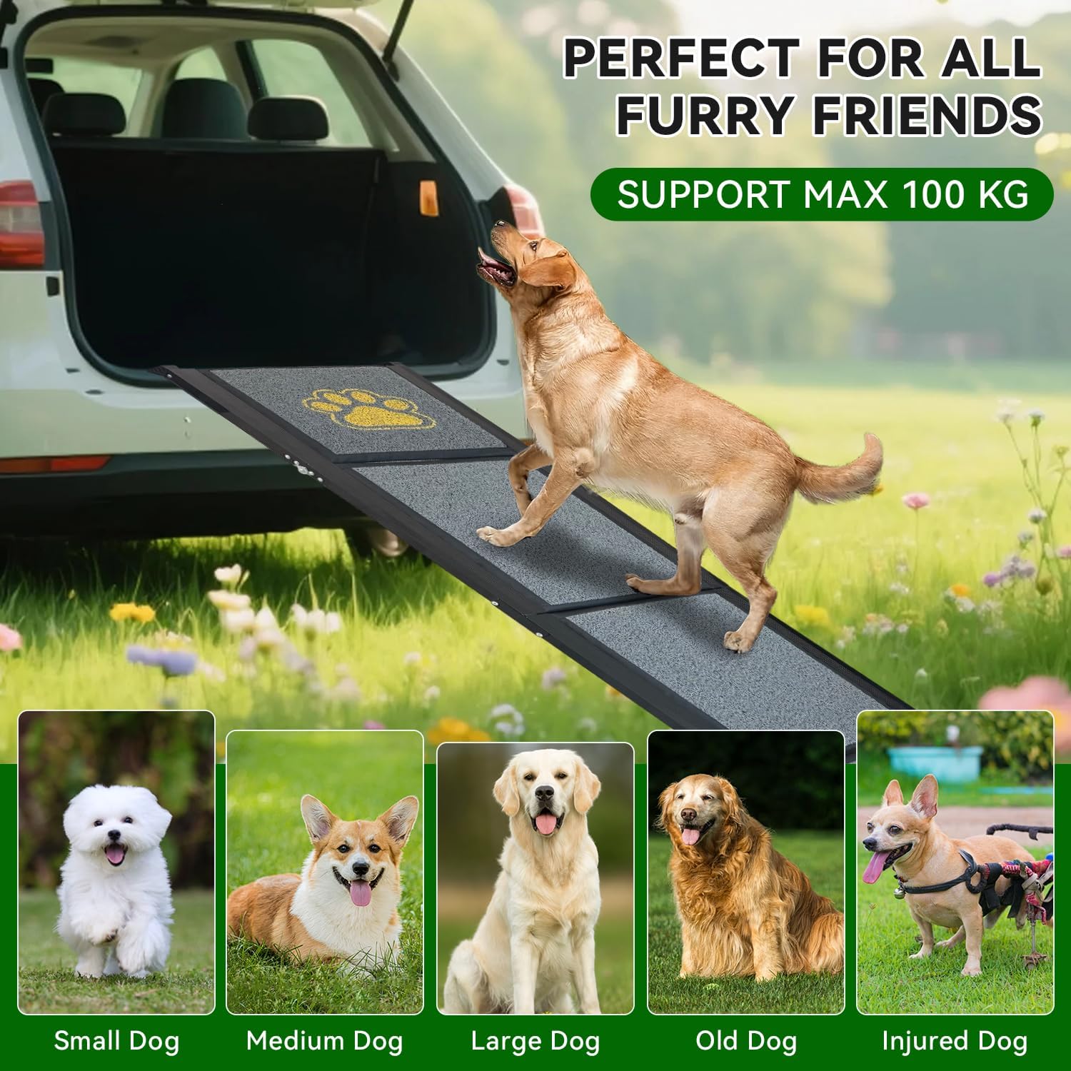 Rampa per cani da auto, pieghevole, 170 x 44 cm, colore grigio, con superficie antiscivolo, fino a 70 kg, leggera in alluminio, per auto, camion, SUV e scale all'aperto