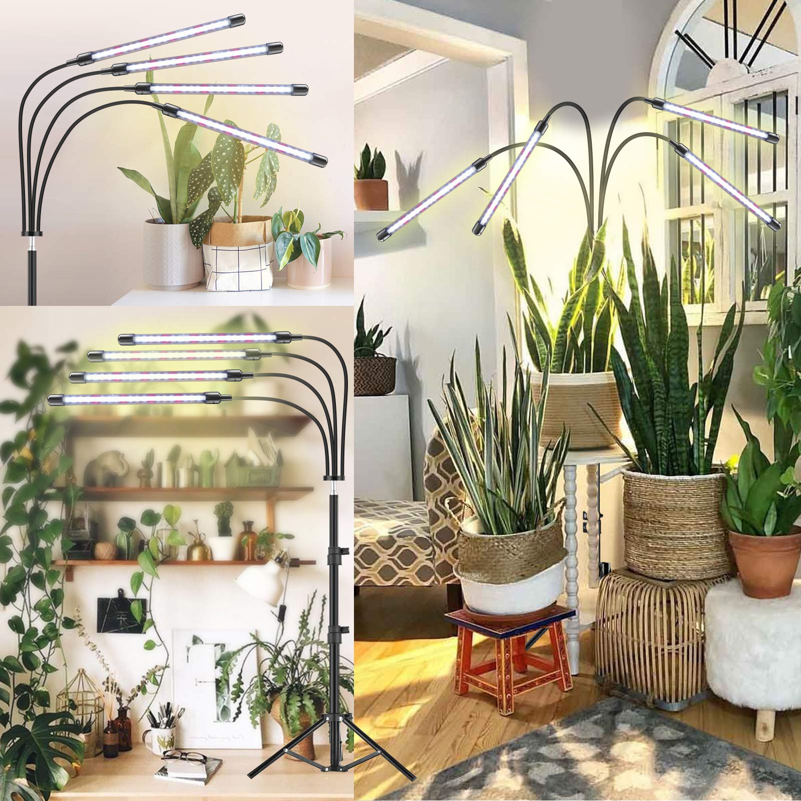 Vollspektrum LED Pflanzenlampe mit Ständer, RF-Fernbedienung & Zeilengesteuerte Timing 4/8/12H, 4 Schaltmodi &10-stufige Helligkeit, Stabiles verstellbar 40-150cm, Für Zimmerpflanzen