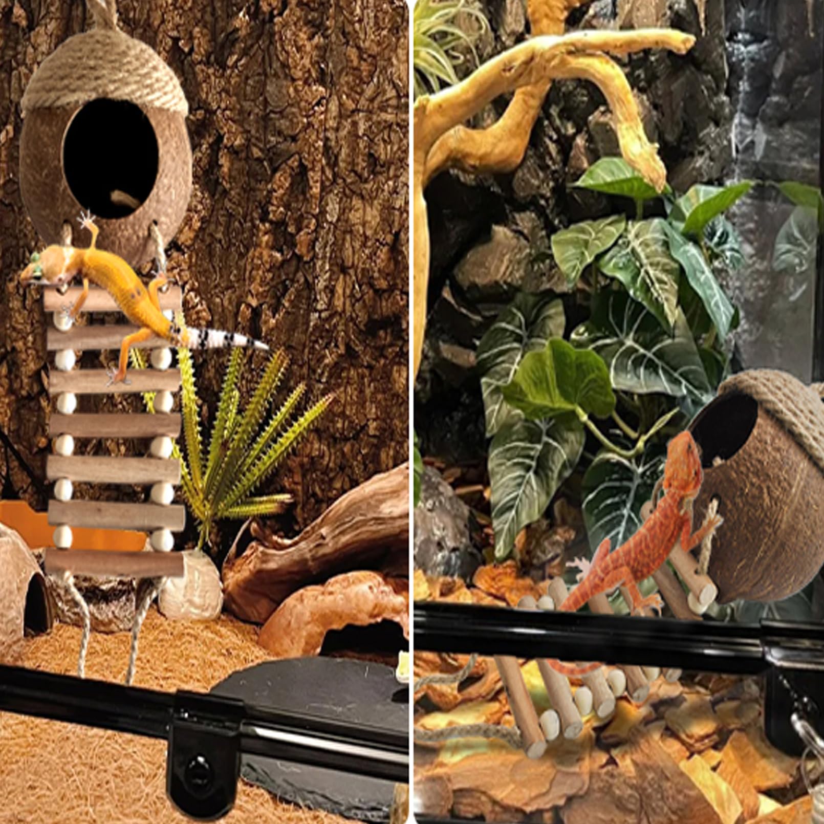 Lizard Coco Den con escalera, 5 piezas de accesorios de tanque de geco de leopardo, plantas de terrario de reptiles, hamaca, cabaña de coco, decoración de reptiles para gecko crestado, dragón
