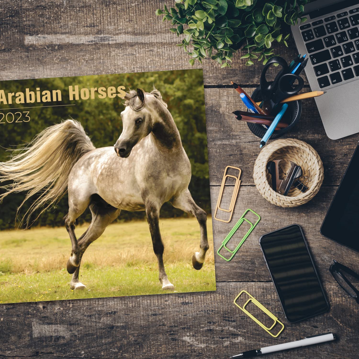 2024 2025 Arabian Horses Calendar Equestrian Monthly
