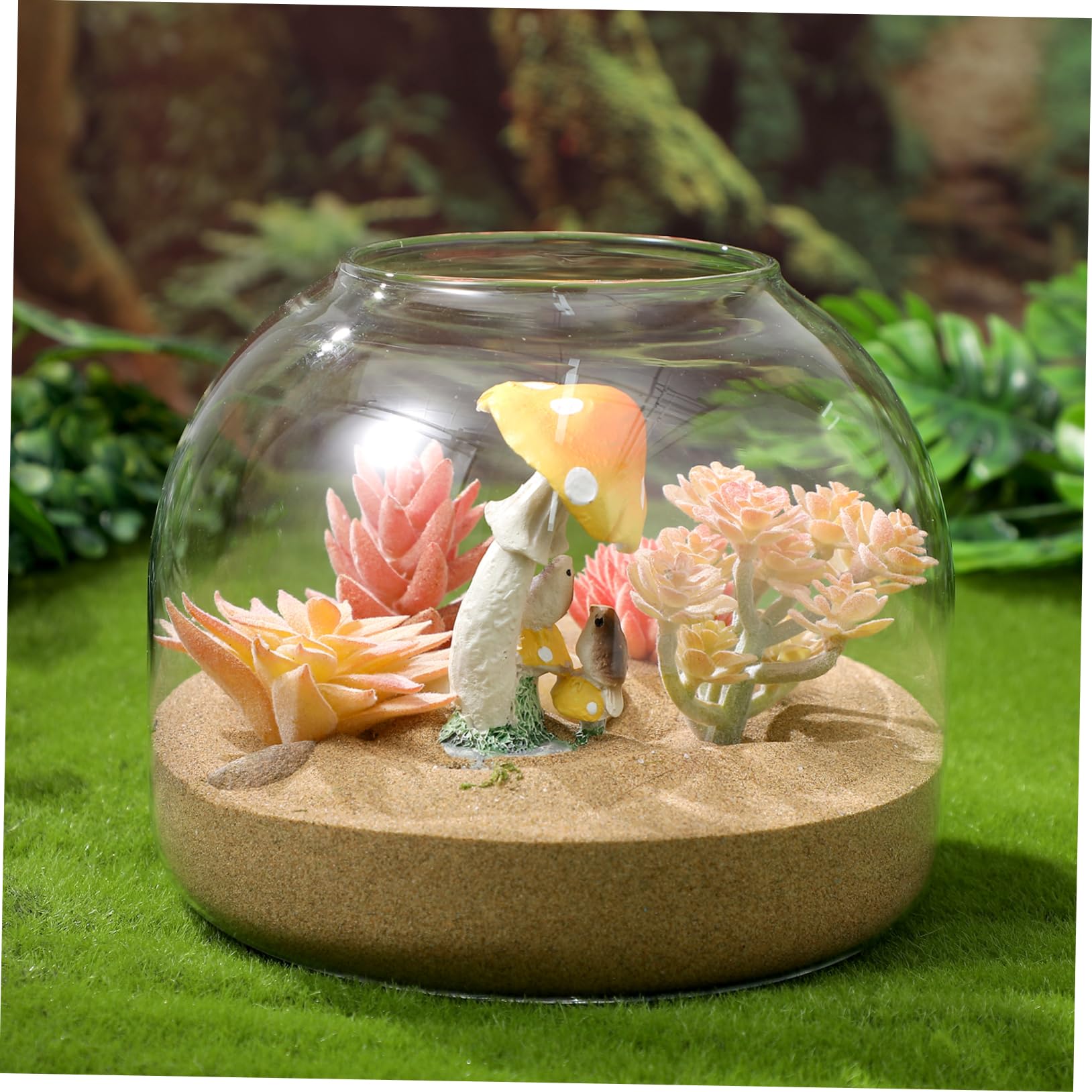 Kleines Terrarium für Pflanzen Dekoratives Gefäß mit Korkdeckel für Moos und Miniaturgärten Perfektes Wohnaccessoire und für Pflanzenliebhaber