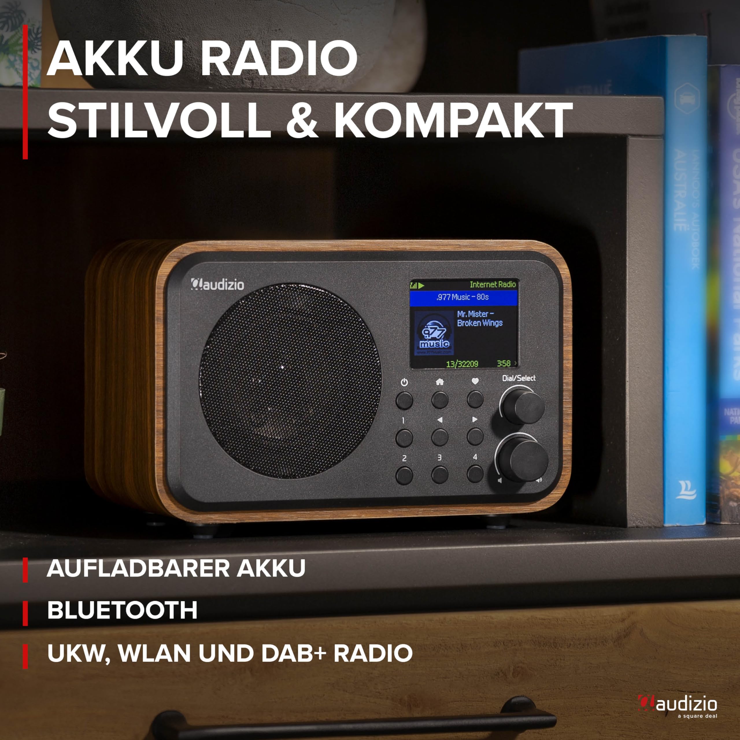 Audizio Vicenza Internetradio DAB Radio mit Bluetooth 5.1 mit Fernbedienung, WLAN, 10 Std. Akku, Line-Out, Küchenradio, FM/UKW, USB-C Ladekabel - DAB Plus Radio in Braun