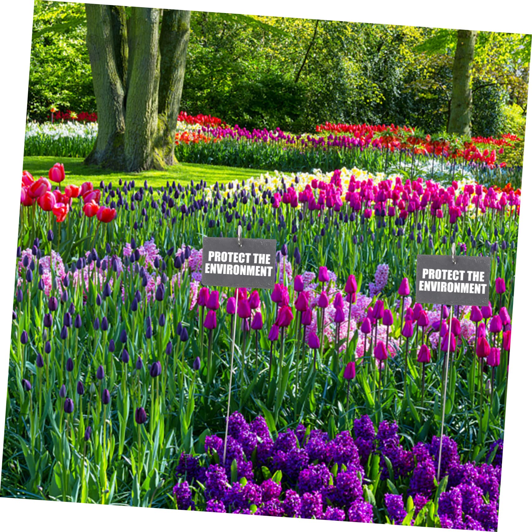 Etichette per Piante da Giardino in Ferro e Ardesia