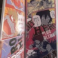 リボーン キャラポス 収納ファイル ポスター32枚 美品 リボーン キャラポス 収納ファイル ポスター32枚 美品 2個セット