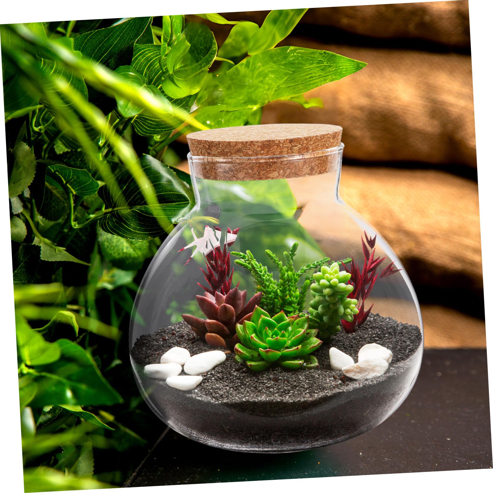 Eco-Friendly Glass Terrarium Jar with Cork Lid, Diy Micro Landscape Bottle for Succulents Ferns and Decorative Plants - Image 2