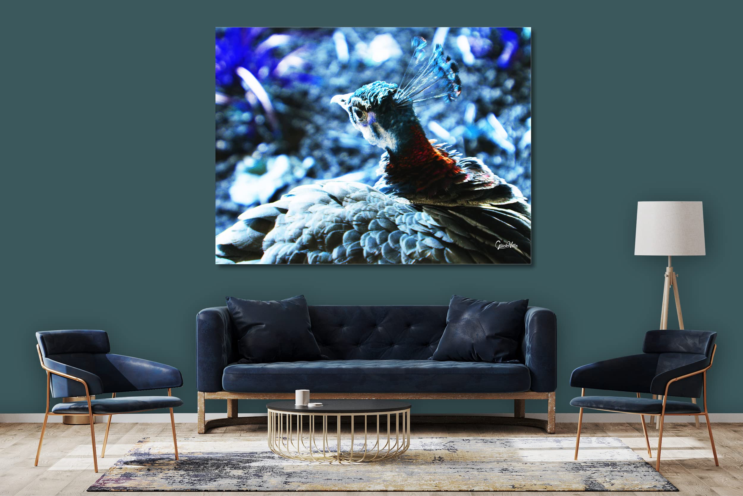 Glücksvilla - Der schöne Pfau 1 (Acrylglas-Bild 5 mm, 80 x 60 cm) | div. Maße - aus DE - Kunstdruck XXL Deko Wandbild quer - Vogel Natur Tier Gefieder grün blau