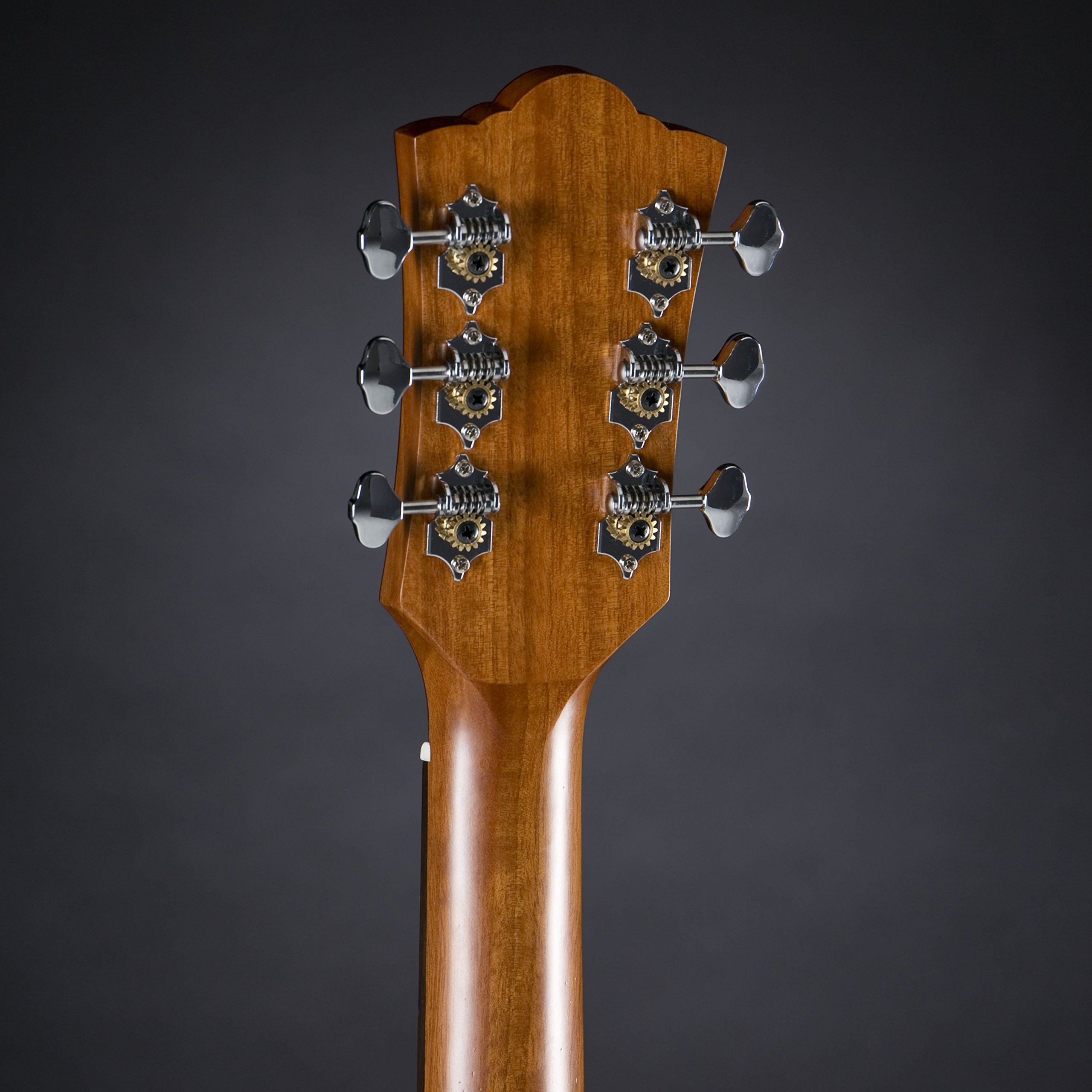 Guild M-240E Acoustic-Electric Guitar in Natural : Amazon.ca