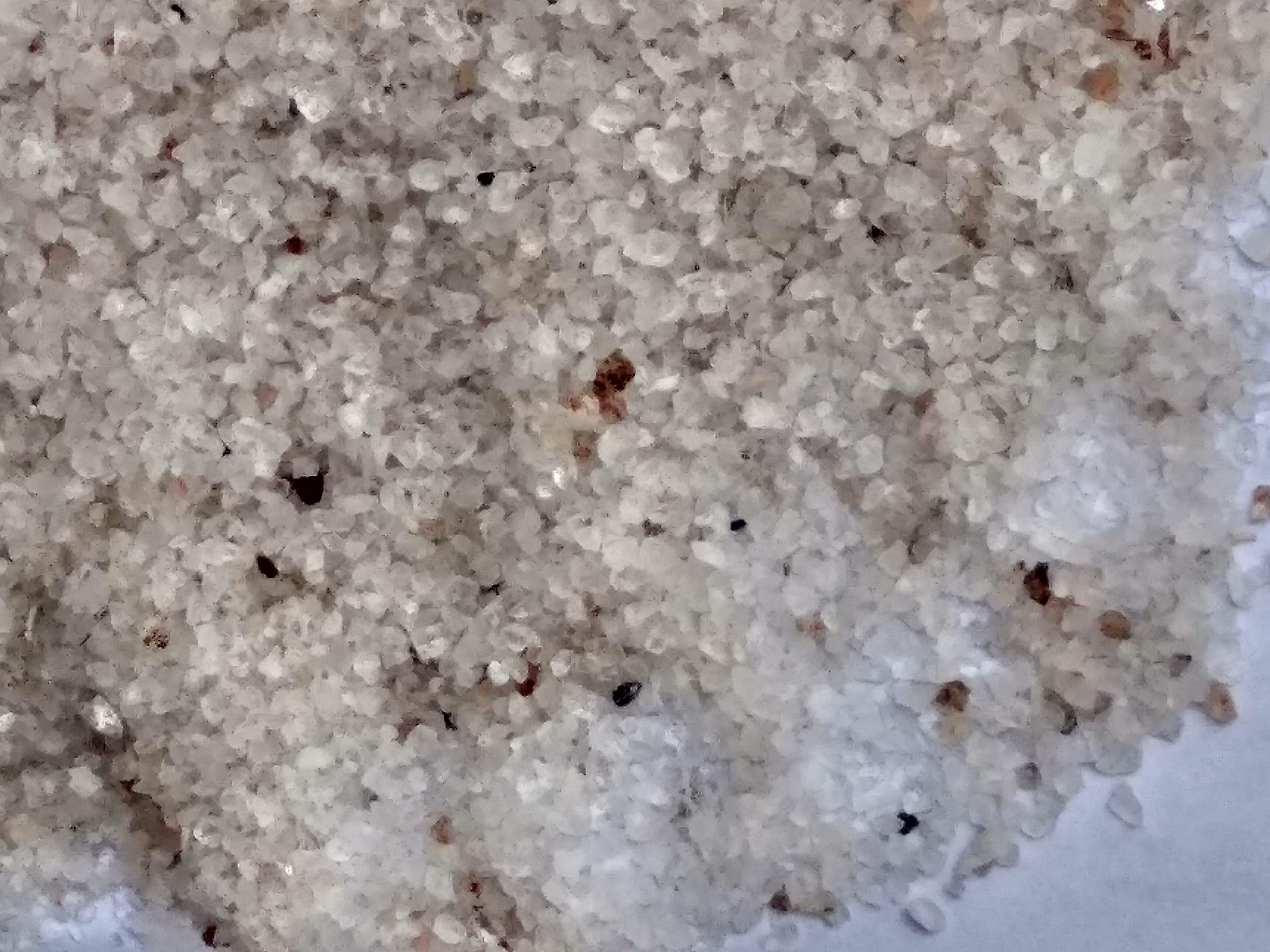 Creative Farmer 1Kg Aquarium Sugar Sand Gravel, White Pebbles for Fish Bowl & All Purpose Pack (B082833C5Q) Amazon Price History, Amazon Price Tracker