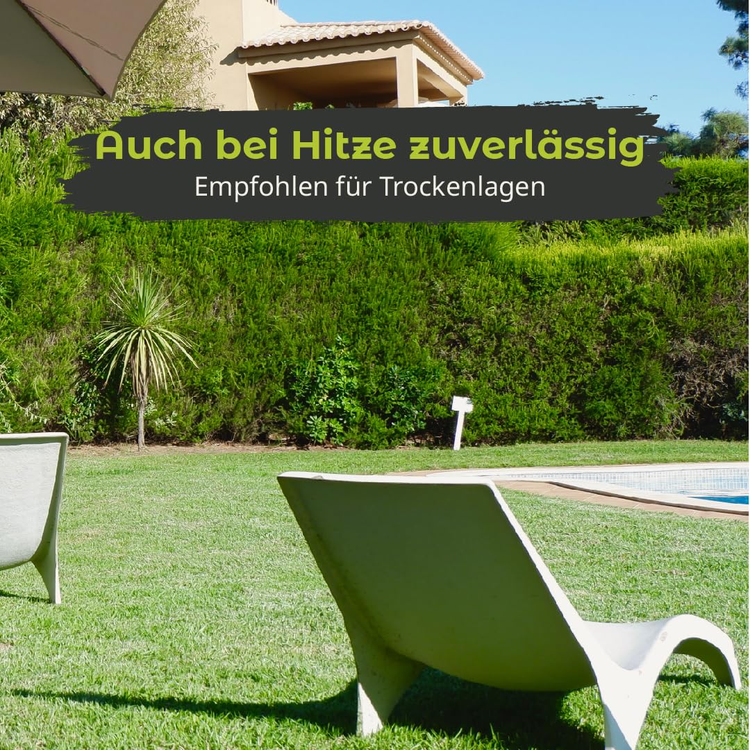 ARENA Trockenrasen Grassamen RSM 2.2.2 10kg – wassersparender Rasensamen für heiße Standorte – hitzeverträglich & pflegeleicht – ideal für sonnige, trockene Gärten