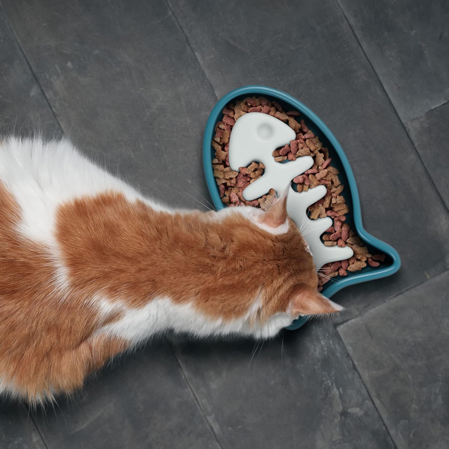 Genuine Fred Slow Food, Slow Feeder Cat Bowl, Fish