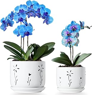 2 Pack, 5 + 6 Inch White Orchid Pots with Holes and Saucer, Ceramic