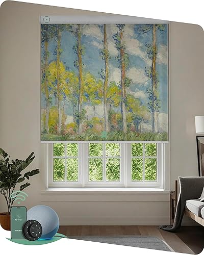 Yoolax Persiana enrollable motorizada con imágenes persianas opacas inteligentes que funcionan con Alexa tamaño y foto personalizados persianas disponible en Yaxa Guatemala