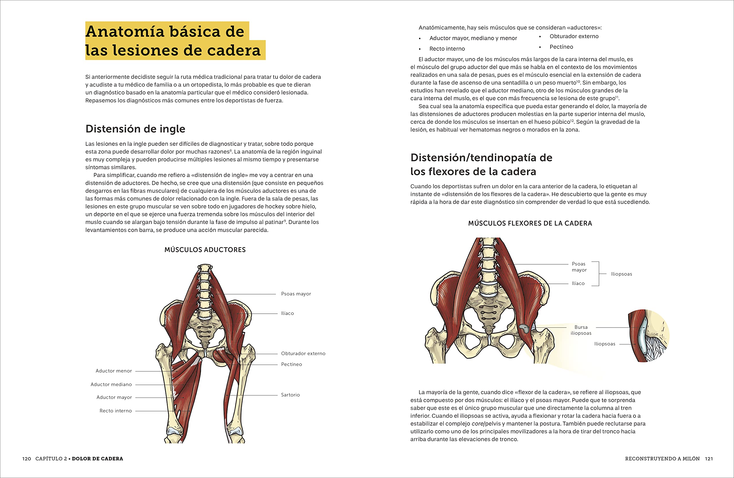 Reconstruyendo a Milón: La guía definitiva para levantadores con la que tratar lesiones comunes y desarrollar bases sólidas para mejorar el rendimiento (DEPORTES)