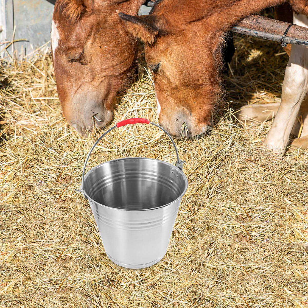 10l Edelstahleimer mit Bügelgriff Robuster Pferdefuttereimer für Fohlen und Pferde Leicht zu Reinigen und Vielseitig Einsetzbar im Stall der Weide