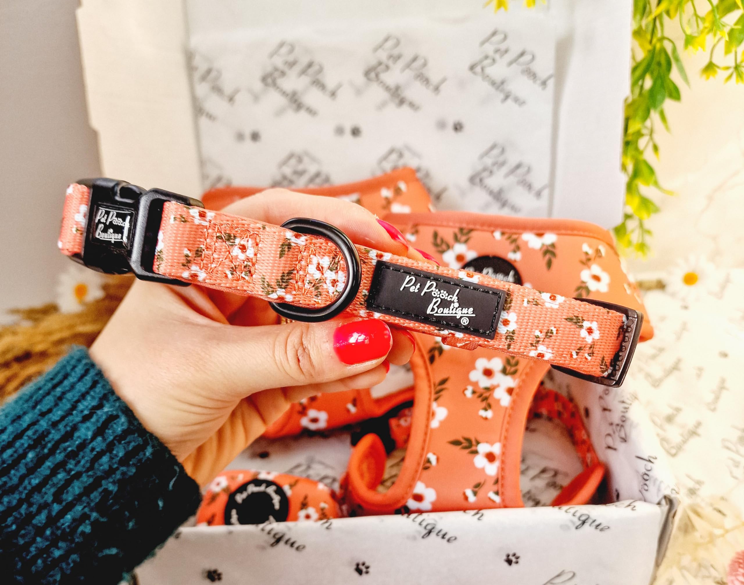 PEACH & IVY BLOSSOM DOG COLLAR XS, Orange, Extra Small