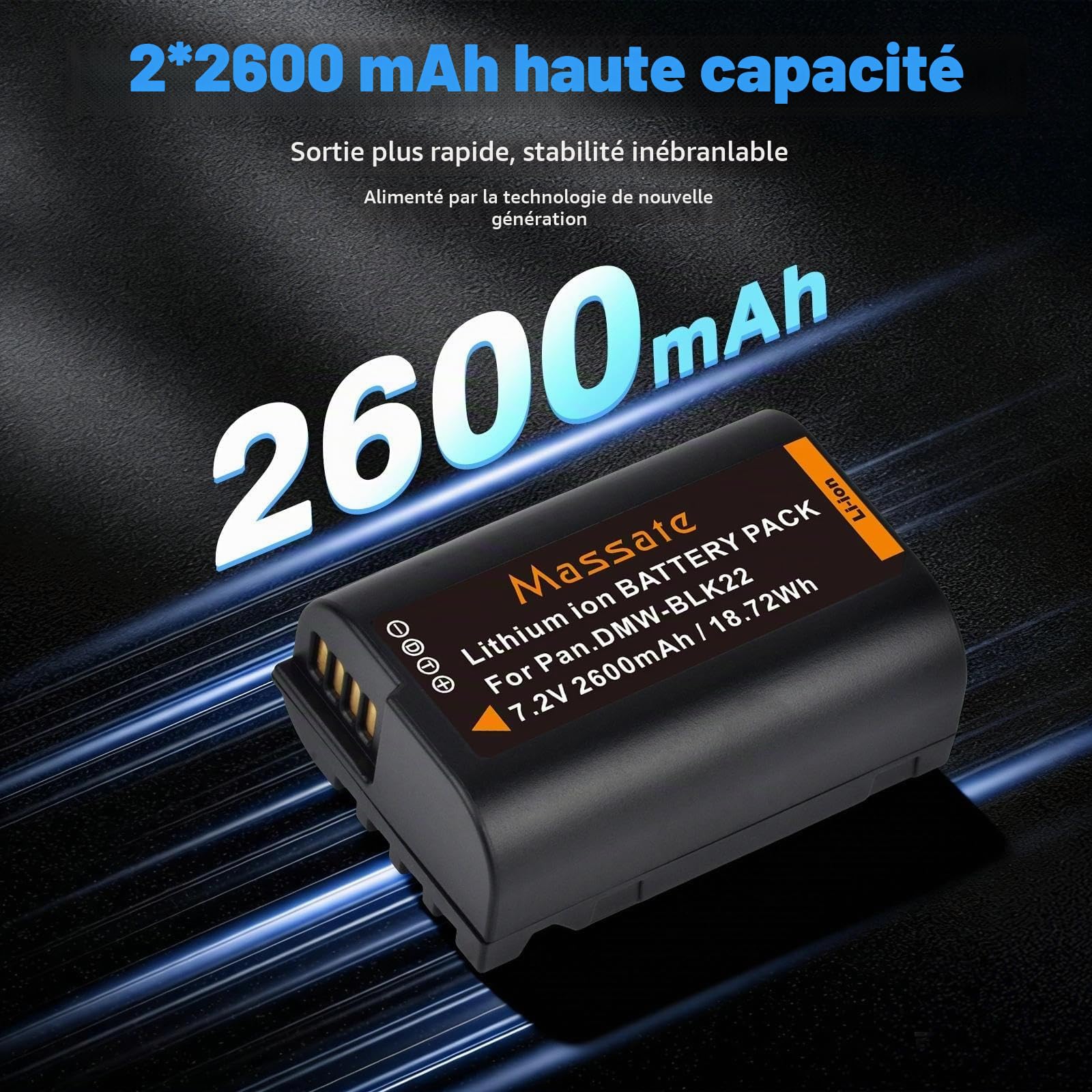 Lot de 2 batteries DMW-BLK22 2600 mAh + chargeur rapide LED PD20W - Charge complète en 2,5 heures - Batterie pour appareils photo Panasonic Lumix GH5, GH5 II, GH6, GH7, S5, S5 II, S5 IIX, S9