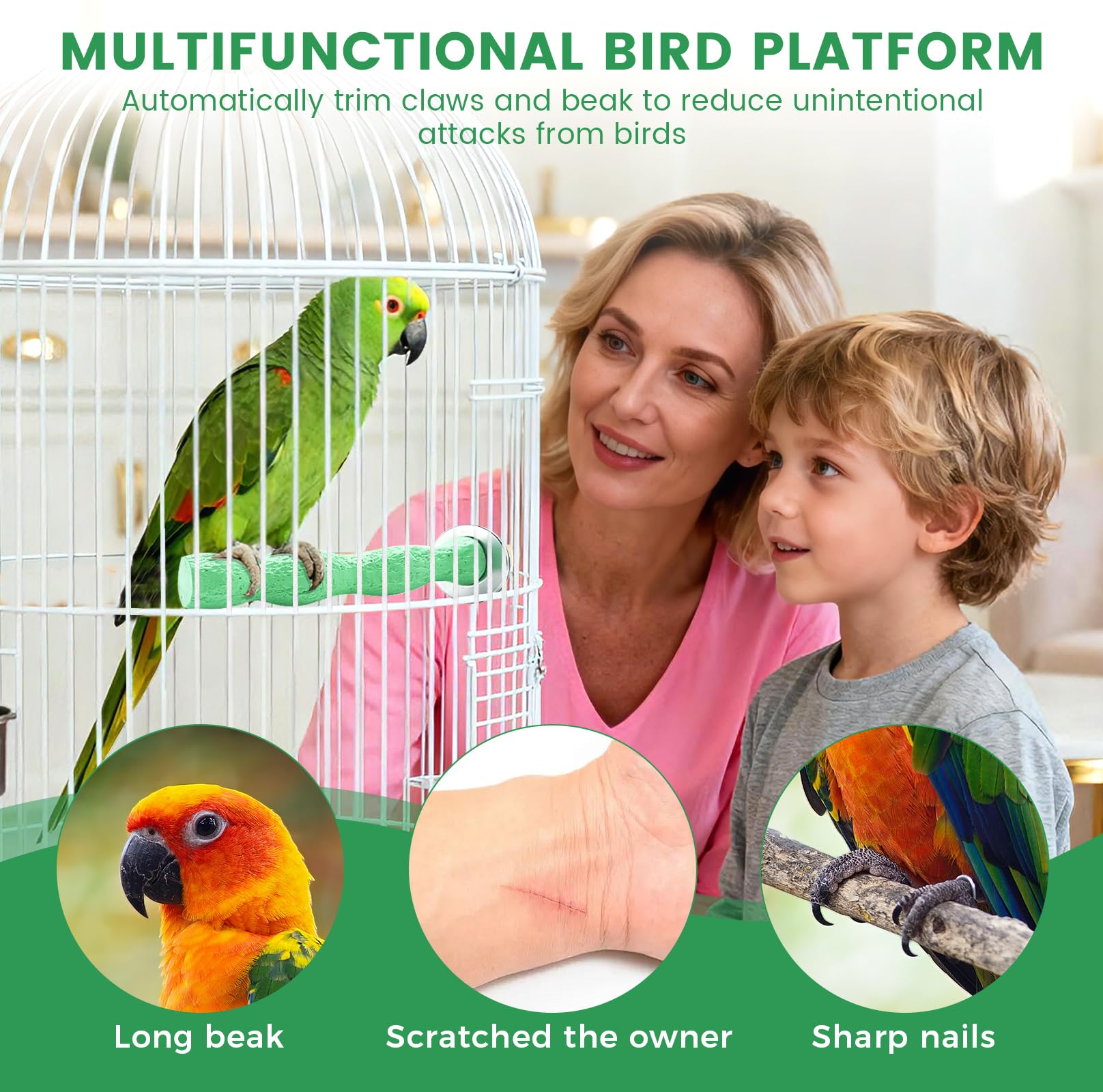 2pcs Bird Beak Grinding Stone, Anti-Slip Parakeet Nail Trimming Stick Resin, Bird Parrot Cage Perch Stand Platform Foot, Claws Trimmer Chewing Toys for Budgies, Parakeets, Cockatiels, Conures - image 5