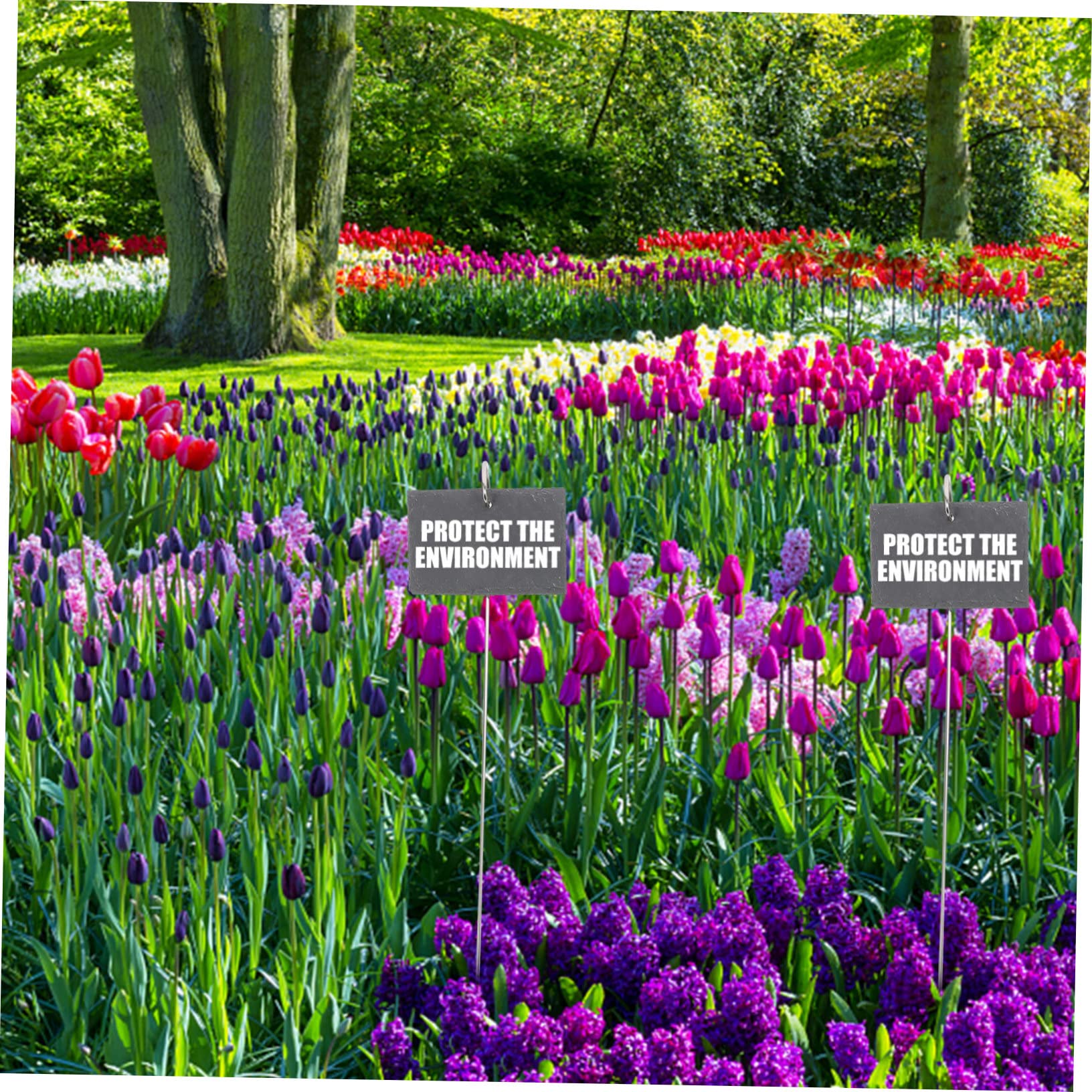 Homoyoyo Étiquettes Jardin Ardoise avec Piquets Fer Lot de Marqueurs Plantes Résistants pour Classification et Décoration des Semis et Pépinière