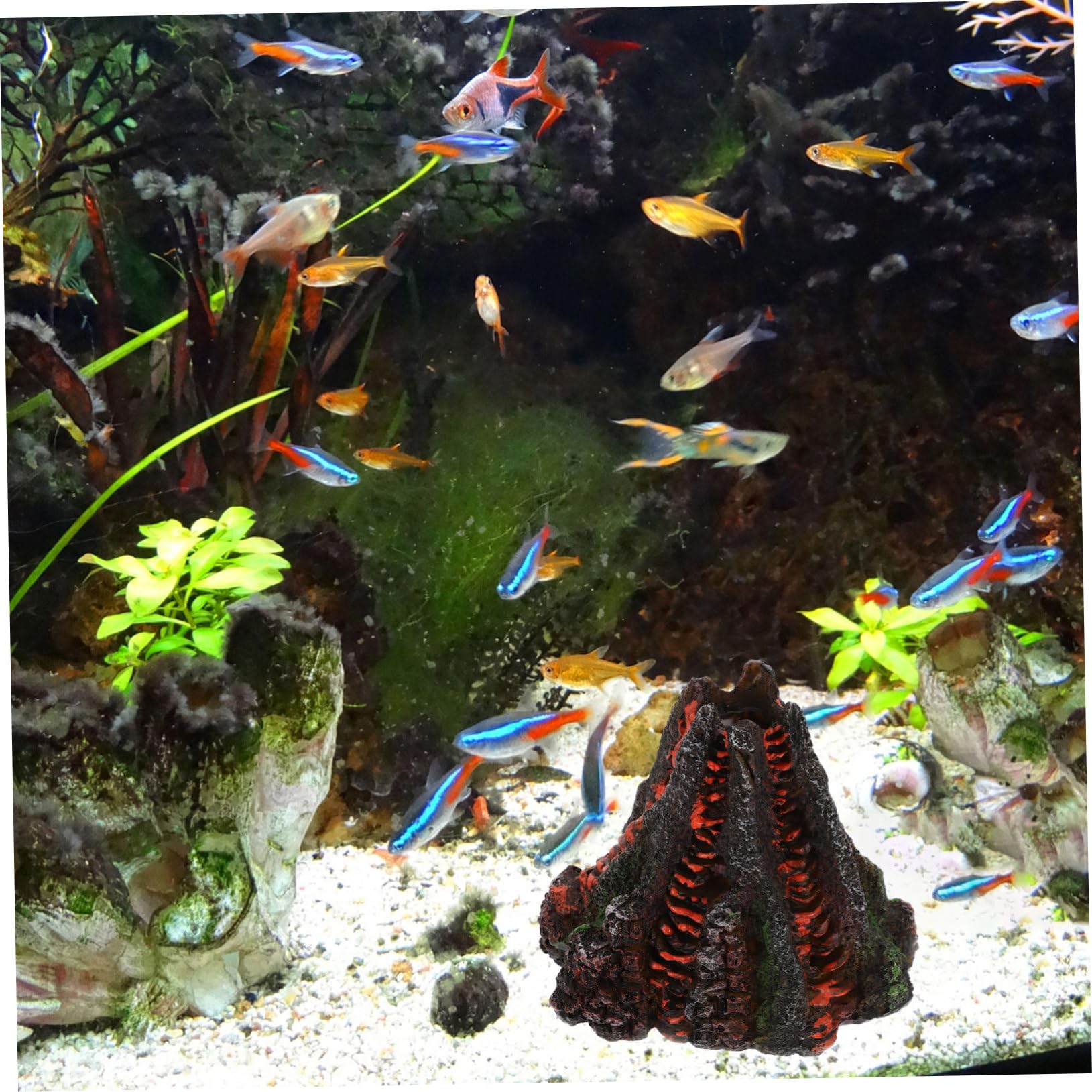 BESPORTBLE 2 Pièces Ornements D'Aménagement Paysager D'Aquarium Aquarium Aquarium Pompe Hydroponique Décorations D'Aquarium Aquarium Statue en Bois Décor Aquarium Disposition du