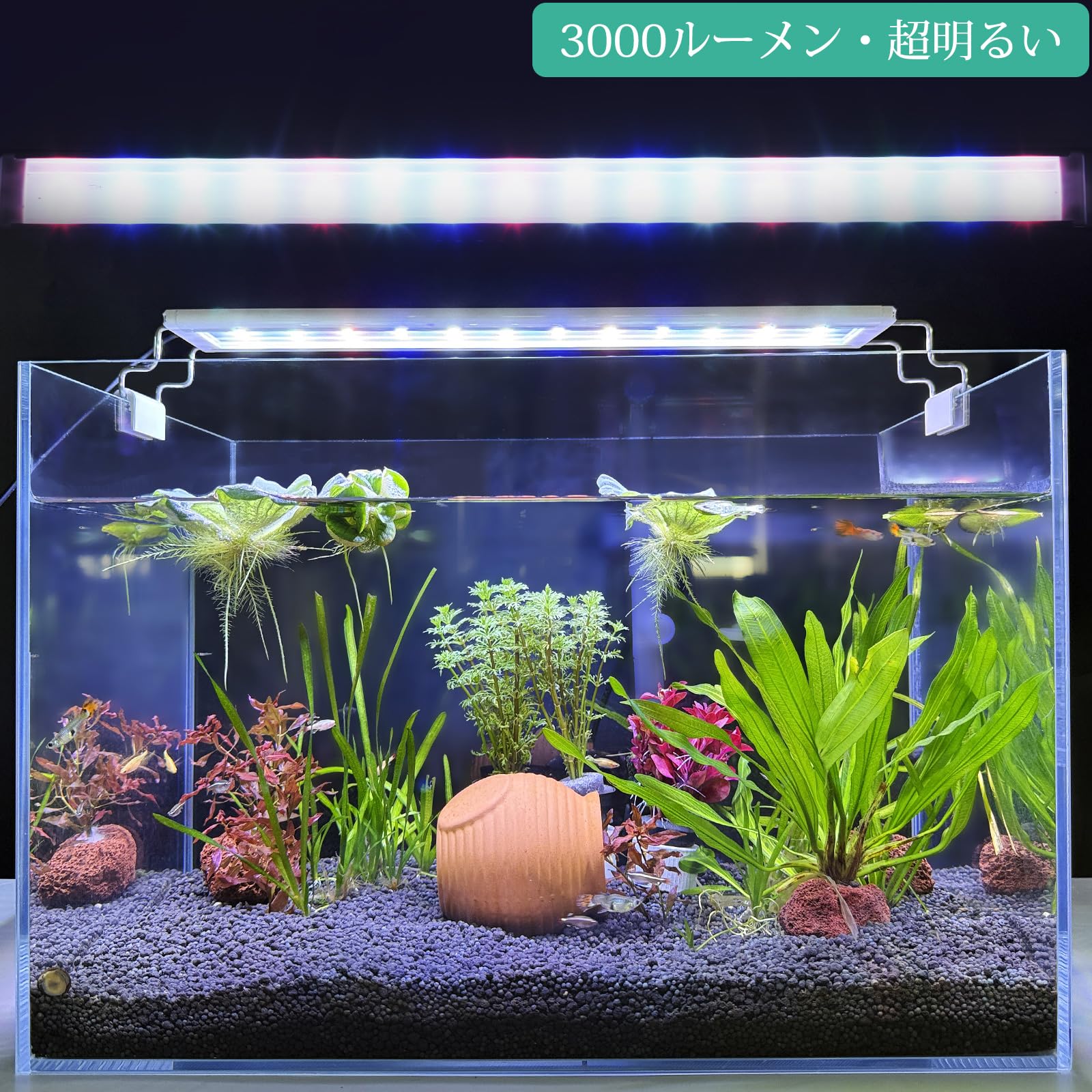 LED 水槽 アクアリウムライト 120cm～135cm タイマー付き 【公式通販】