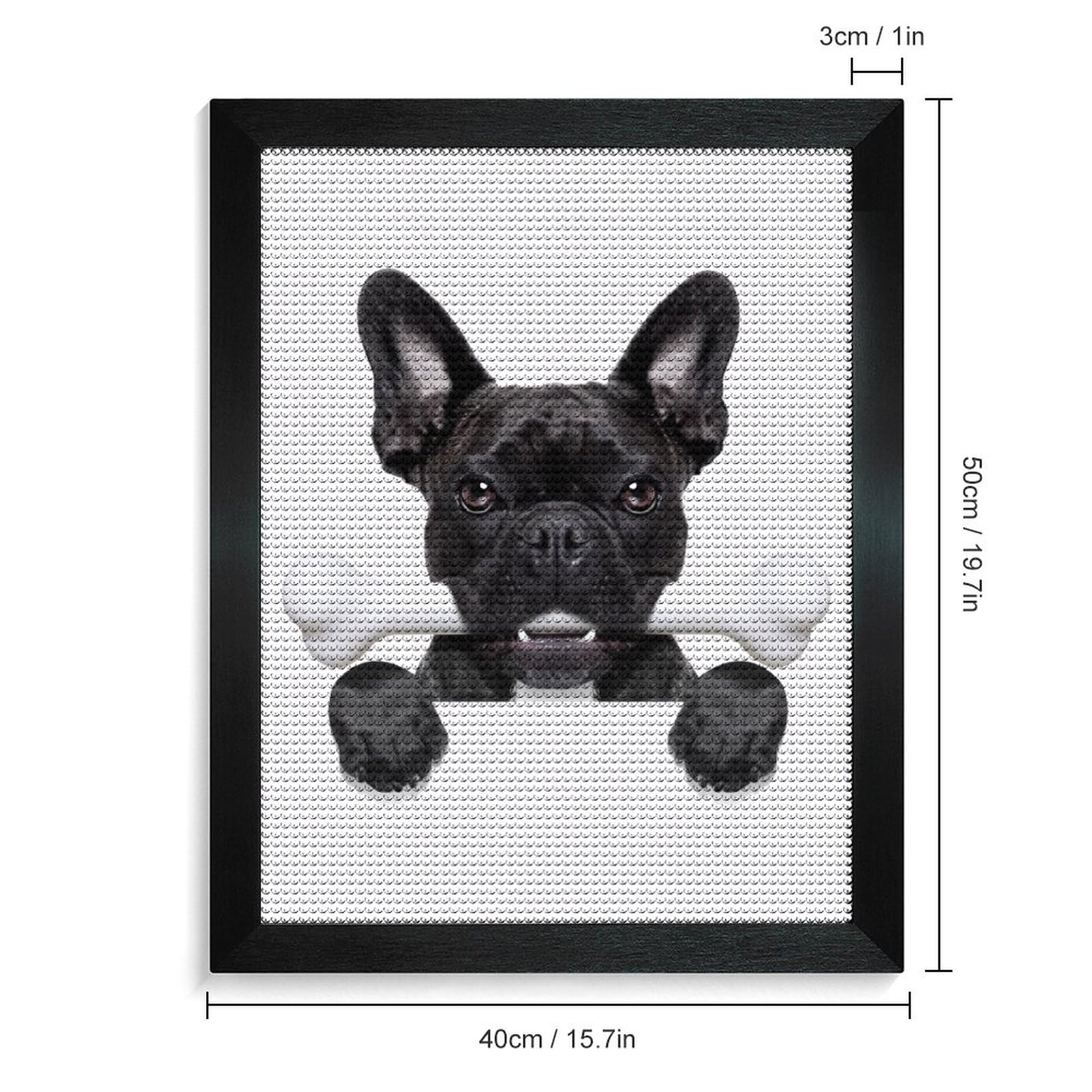【原画】『ジグ公爵』（フレンチブルドッグ　犬　絵画） Amazon | 面白い フレンチブルドッグ犬 ダイヤモンドアート 5D