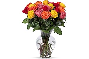Benchmark Bouquets, 24 Stem Rainbow Roses, Glass Vase Included, Fresh Flowers