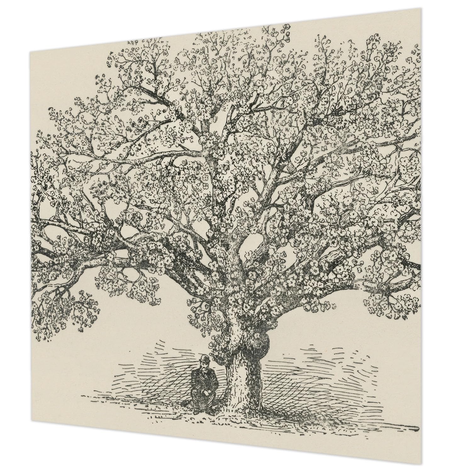 Papier peint arbre haut de gamme Tulup 250x250 impression haute qualité pour chambre