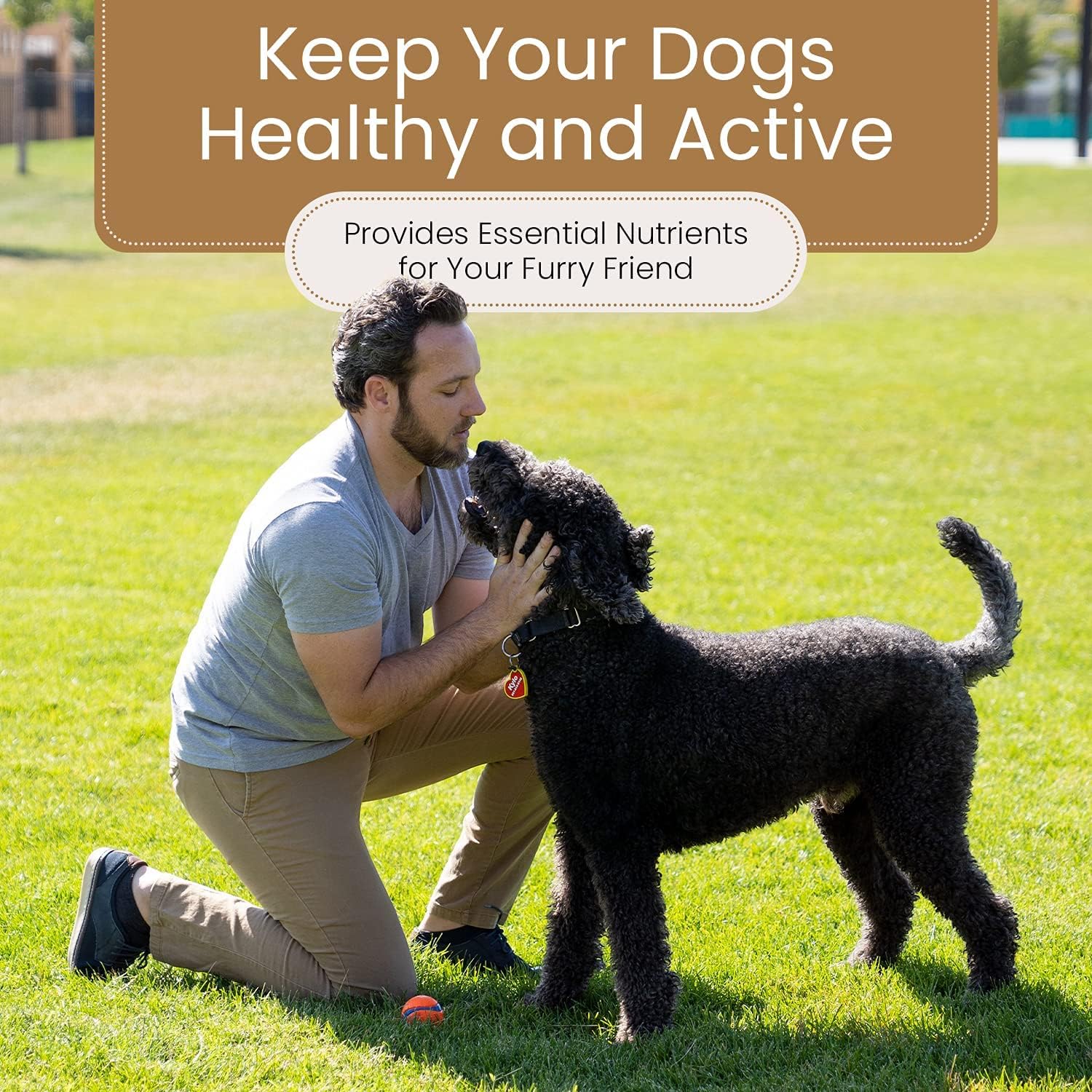 BRUTUS & BARNABY Sweet Potato - Kibble Topper and Dehydrated Slices
