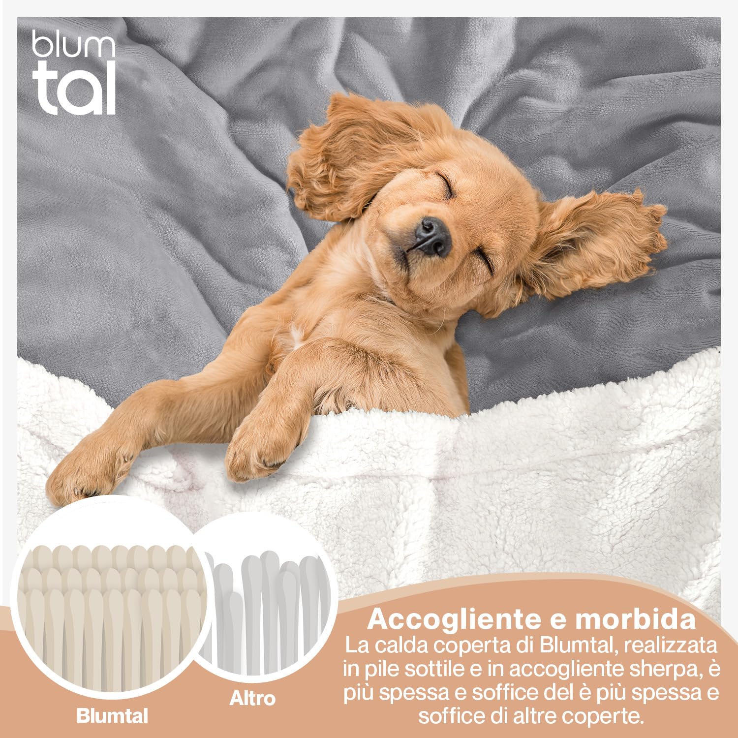 Blumtal Coperta Matrimoniale Sherpa - Coperta Pile - Plaid Divano Super Morbida - Coperta Plaid Matrimoniale Sherpa di Alta Qualità Certificata OKEO-Tex - 230 x 270 cm - Grigio