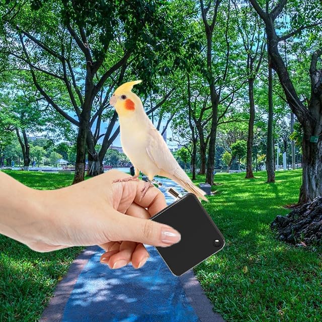 Foto 2 de 8 de Arnés para loros, correas para pájaros - Correas portátiles para pájaros Cotorras de 2M