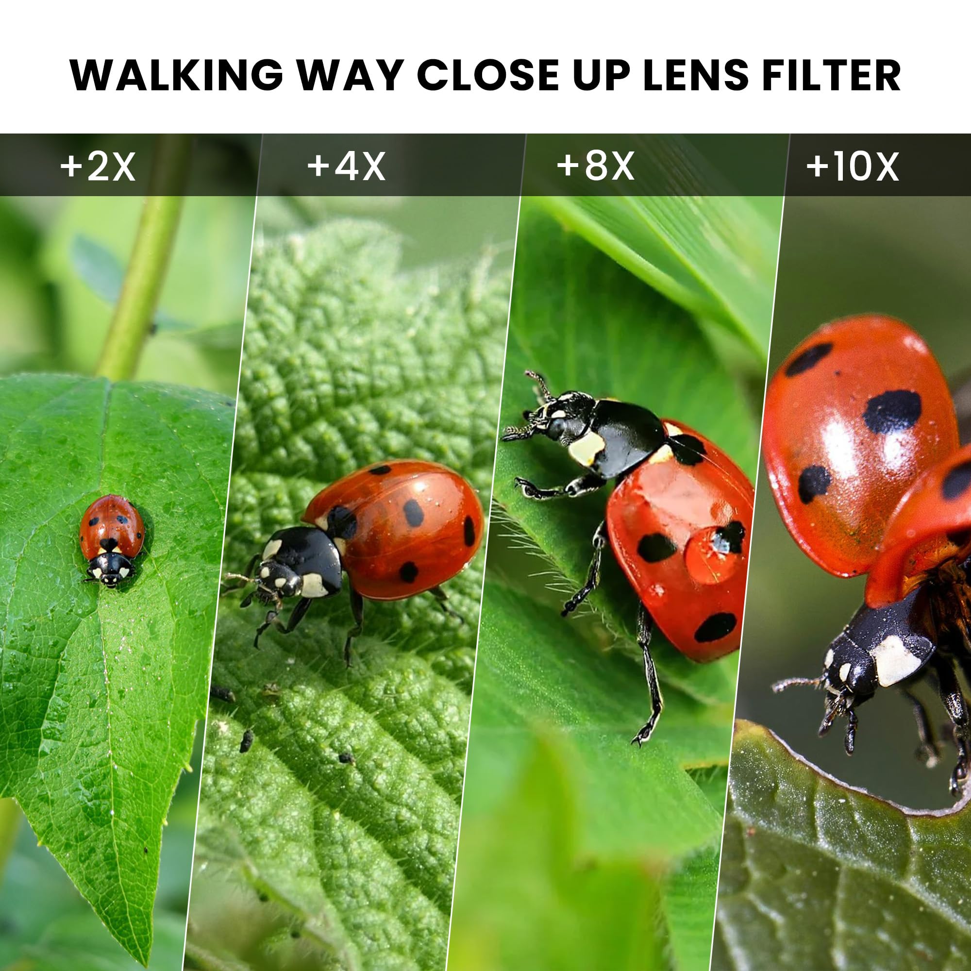 Walking Way Close-Up Makrofilter +8 – Detailfilter für Extreme Nahaufnahmen, HD-Glas, 82mm Schraubfilter – für Technik, Miniaturen & Feinheiten