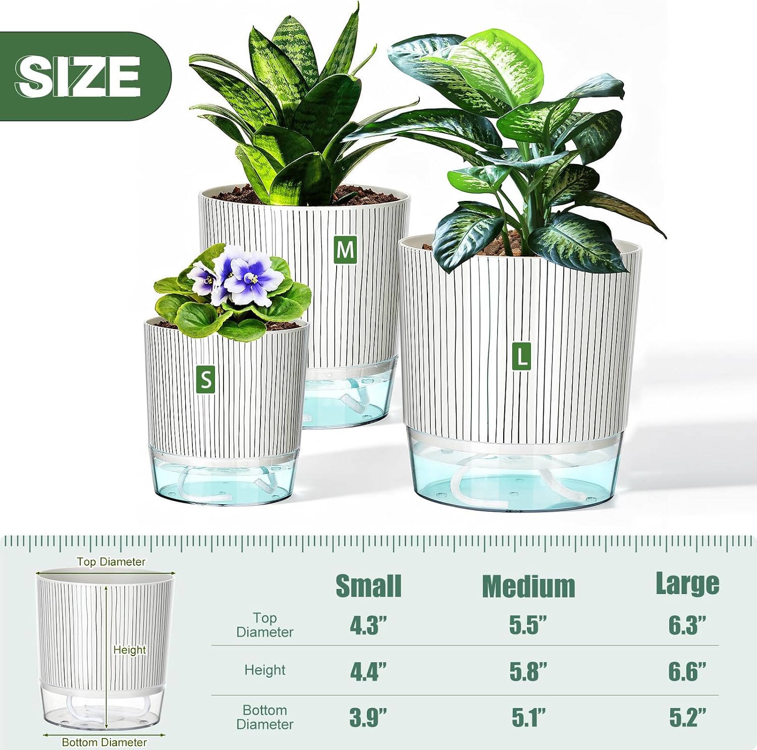 Self Watering Planters Set of 3, 4/5.5/6.3 Inch Plastic Indoor Flower Pot image 2