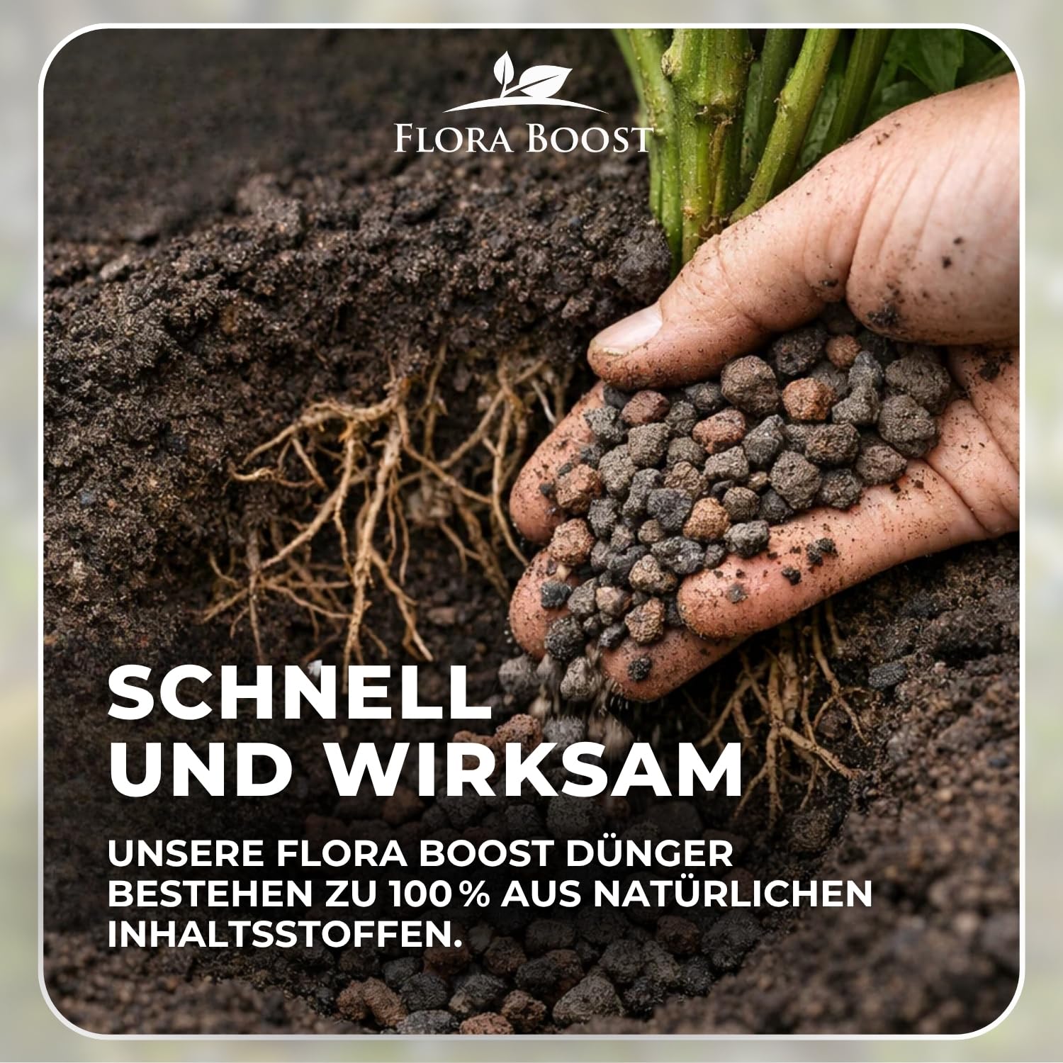 Flora Boost Mykorrhiza Bioaktivator Granulat 2,5 Liter I Natürlicher Bodenaktivator mit Mykorrhiza Pilzen & Lava-Granulat I Für starkes Wurzelwachstum, bessere Nährstoffaufnahme & gesunde Pflanzen
